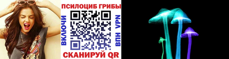 Купить закладки  Рыбное  Галлюциногенные грибы Magic Shrooms 